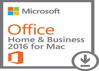 Maison véritable et affaires de milliseconde Office 2016 de bit du permis 64