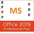 Pro travail de l'utilisateur 100% du plus 5 d'U Microsoft Office 2019 au détail