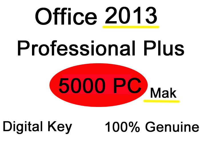 Professionnel du bureau 2013 de code d'activation de PC plus le pro 32/64 bit des valeurs maximales de concentration au poste de travail 5000PC