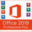 64 plus professionnel de Microsoft Office 2019 au détail de paquet de bit
